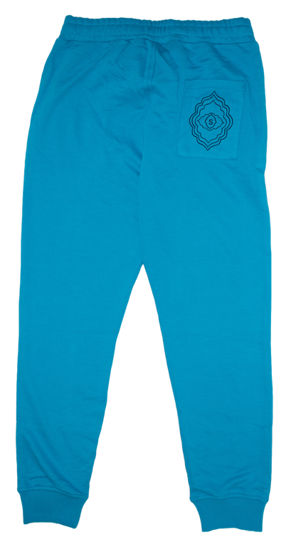 Baby Blue Tracksuit Bottom